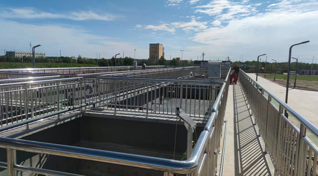 Shaanxi Shanqing Environmental Technology Co., Ltd. 製造者の生産ライン